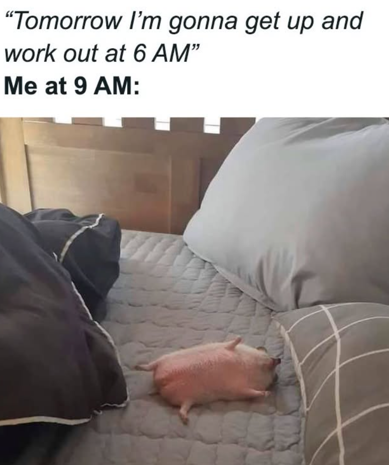 "Tomorrow I'm gonna get up and work out at 6 AM" Me at 9 AM: