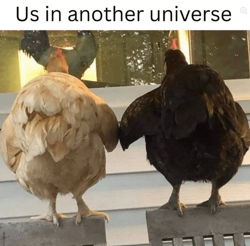 Us in another universe