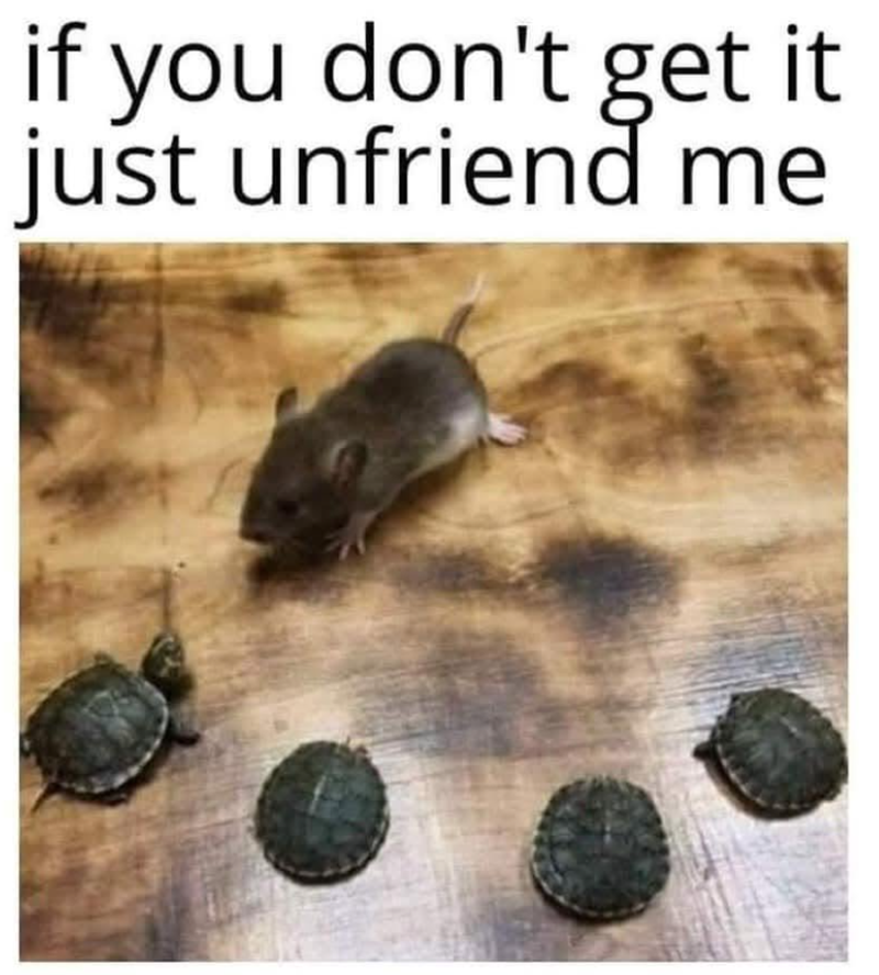 if you don't get it just unfriend me