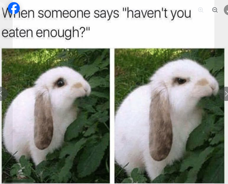 When someone says "haven't you eaten enough?"