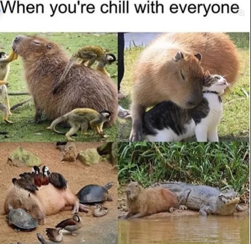 When you're chill with everyone