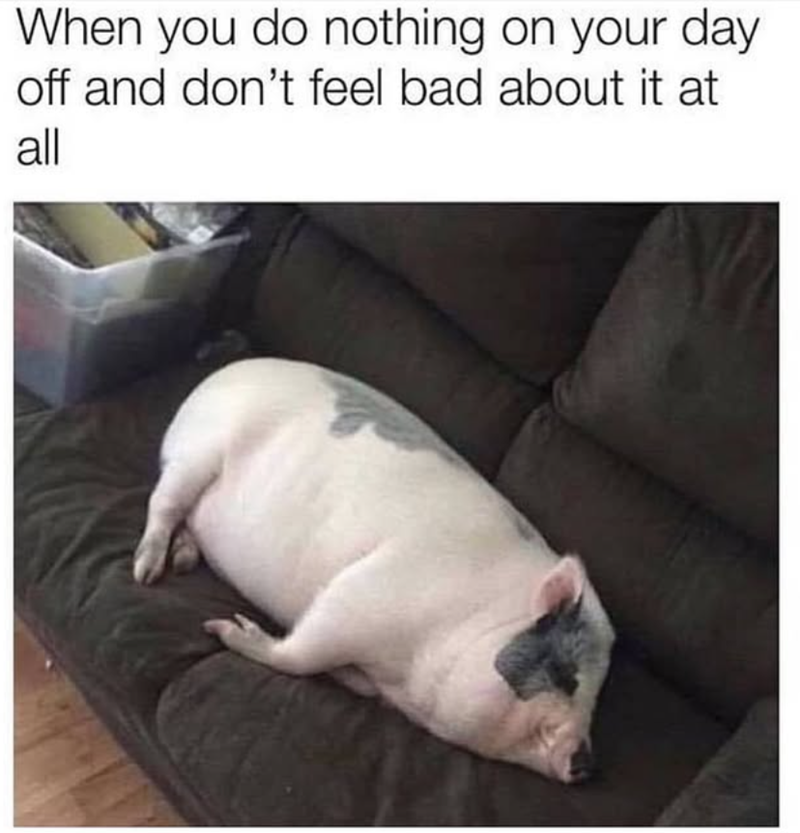 When you do nothing on your day off and don't feel bad about it at all