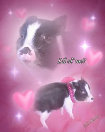 Lilal' me?