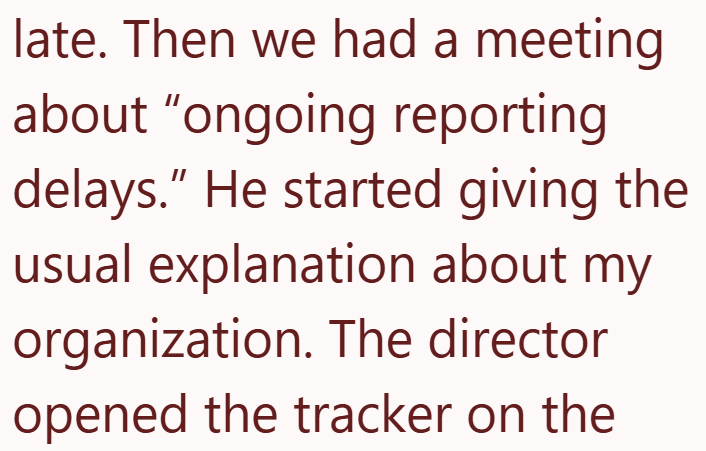 late. Then we had a meeting about "ongoing reporting delays." He started giving the usual explanation about my organization. The director opened the tracker on the
