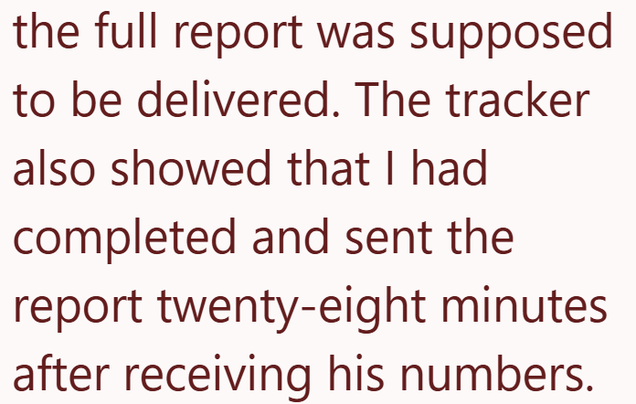 the full report was supposed to be delivered. The tracker also showed that I had completed and sent the report twenty-eight minutes after receiving his numbers.