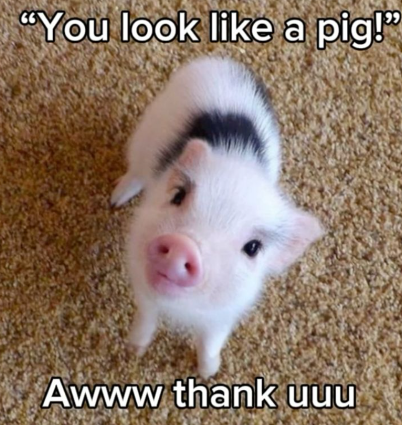 "You look like a pig!" Awww thank uuu