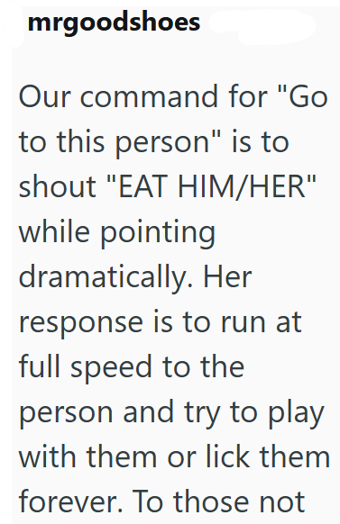 mrgoodshoes Our command for "Go to this person" is to shout "EAT HIM/HER" while pointing dramatically. Her response is to run at full speed to the person and try to play with them or lick them forever. To those not