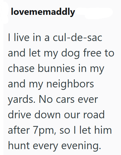 lovememaddly I live in a cul-de-sac and let my dog free to chase bunnies in my and my neighbors yards. No cars ever drive down our road after 7pm, so I let him hunt every evening.