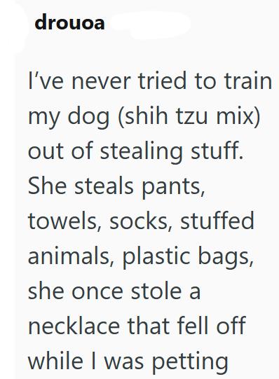 drouoa I've never tried to train my dog (shih tzu mix) out of stealing stuff. She steals pants, towels, socks, stuffed animals, plastic bags, she once stole a necklace that fell off while I was petting