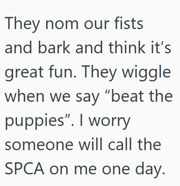 They nom our fists and bark and think it's great fun. They wiggle when we say "beat the puppies". I worry someone will call the SPCA on me one day.