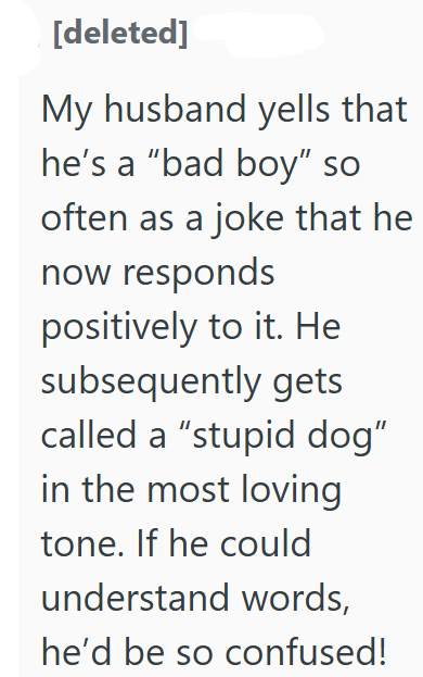 [deleted] My husband yells that he's a "bad boy" so often as a joke that he now responds positively to it. He subsequently gets called a "stupid dog" in the most loving tone. If he could understand words, he'd be so confused!