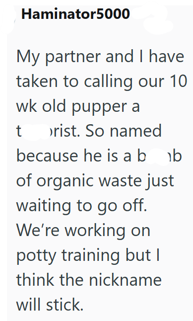 Haminator5000 My partner and I have taken to calling our 10 wk old pupper a t >rist. So named because he is abb of organic waste just waiting to go off. We're working on potty training but I think the nickname will stick.