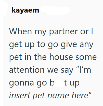 kayaem When my partner or I get up to go give any pet in the house some attention we say "I'm gonna go bt up insert pet name here"