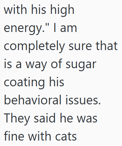 with his high energy." I am completely sure that is a way of sugar coating his behavioral issues. They said he was fine with cats
