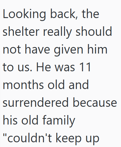 Looking back, the shelter really should not have given him to us. He was 11 months old and surrendered because his old family "couldn't keep up