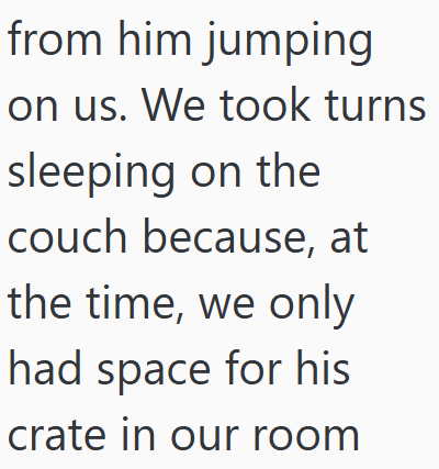 from him jumping on us. We took turns sleeping on the couch because, at the time, we only had space for his crate in our room