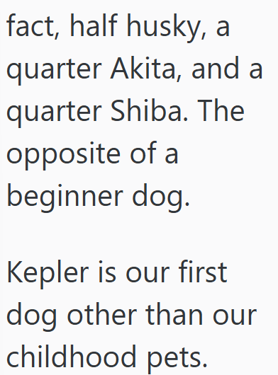 fact, half husky, a quarter Akita, and a quarter Shiba. The opposite of a beginner dog. Kepler is our first dog other than our childhood pets.