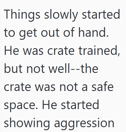 Things slowly started to get out of hand. He was crate trained, but not well--the crate was not a safe space. He started showing aggression
