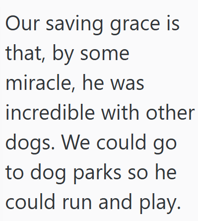 Our saving grace is that, by some miracle, he was incredible with other dogs. We could go to dog parks so he could run and play.