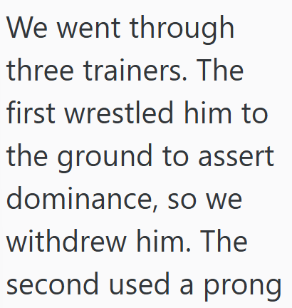 We went through three trainers. The first wrestled him to the ground to assert dominance, so we withdrew him. The second used a prong