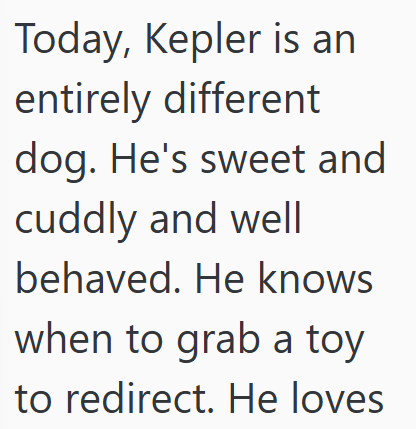 Today, Kepler is an entirely different dog. He's sweet and cuddly and well behaved. He knows when to grab a toy to redirect. He loves