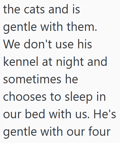 the cats and is gentle with them. We don't use his kennel at night and sometimes he chooses to sleep in our bed with us. He's gentle with our four