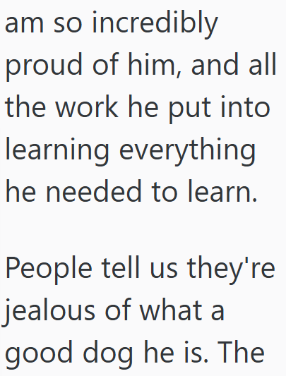 am so incredibly proud of him, and all the work he put into learning everything he needed to learn. People tell us they're jealous of what a good dog he is. The