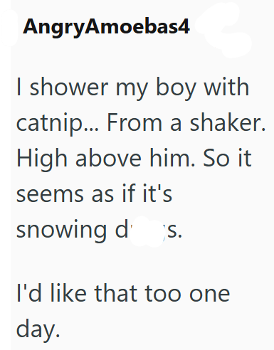 AngryAmoebas4 I shower my boy with catnip... From a shaker. High above him. So it seems as if it's snowing d S. I'd like that too one day.