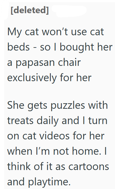 [deleted] My cat won't use cat beds so I bought her a papasan chair exclusively for her She gets puzzles with treats daily and I turn on cat videos for her when I'm not home. I think of it as cartoons and playtime.