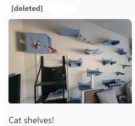 [deleted] Cat shelves! P