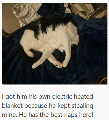 I got him his own electric heated blanket because he kept stealing mine. He has the best naps here!