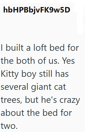 hbHPBbjvFK9w5D I built a loft bed for the both of us. Yes Kitty boy still has several giant cat trees, but he's crazy about the bed for two.