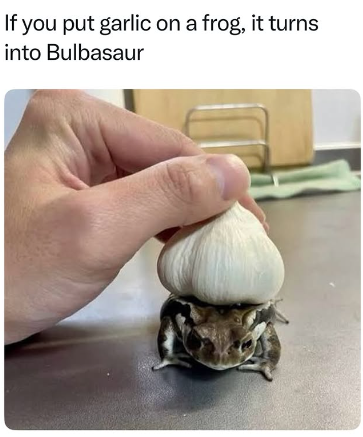 If you put garlic on a frog, it turns into Bulbasaur