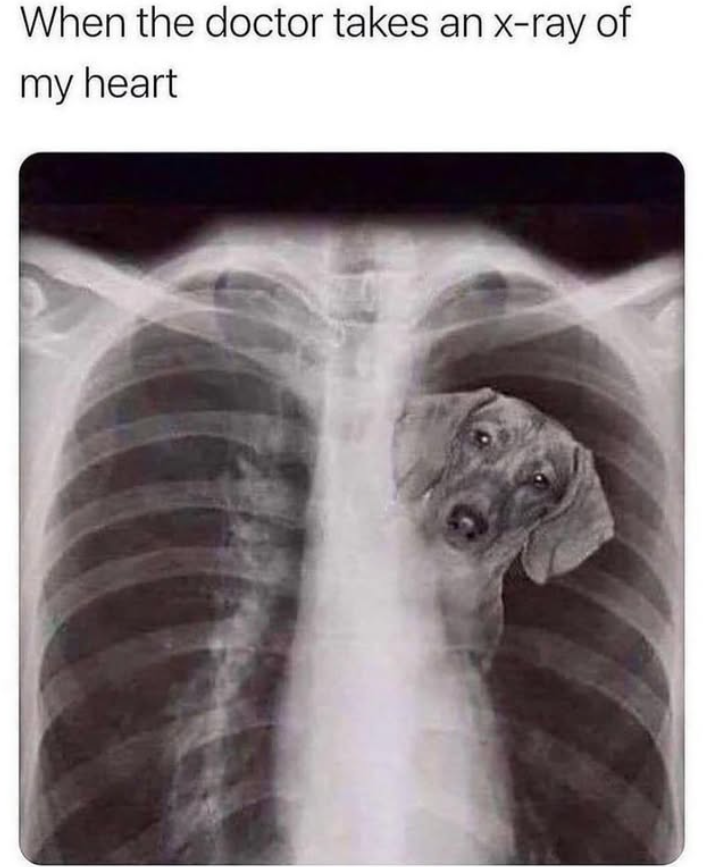 When the doctor takes an x-ray of my heart