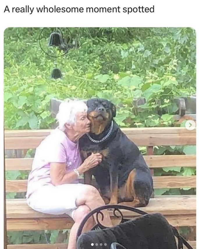 A really wholesome moment spotted >