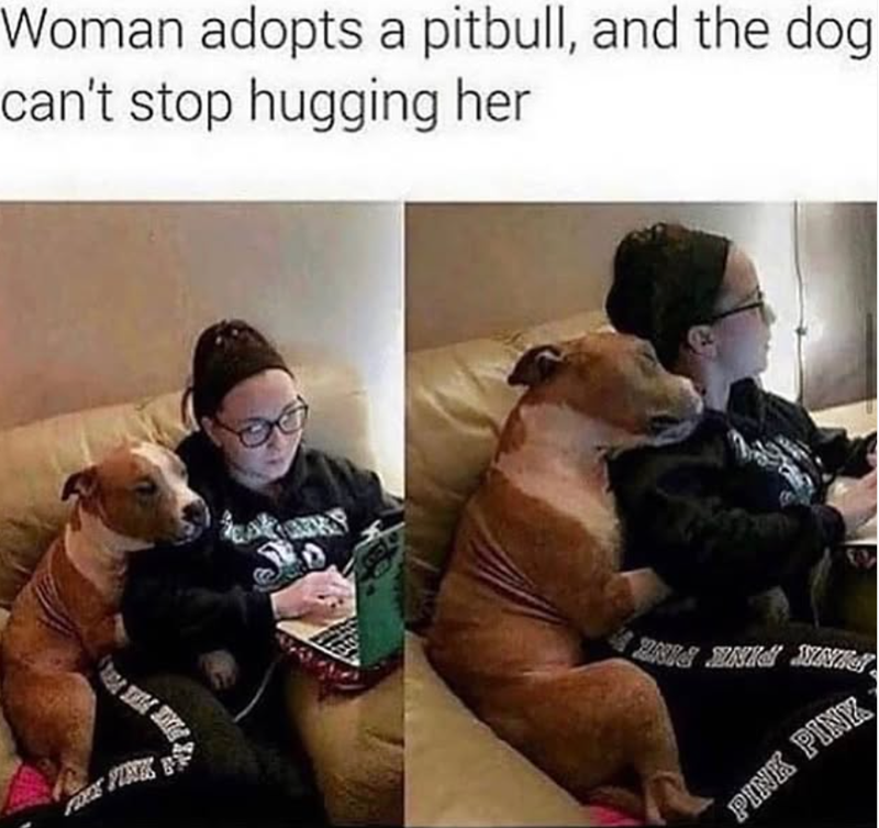 Woman adopts a pitbull, and the dog can't stop hugging her BRIG ANIS NA PINK PINK