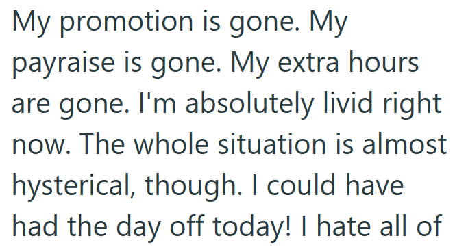 My promotion is gone. My payraise is gone. My extra hours are gone. I'm absolutely livid right now. The whole situation is almost hysterical, though. I could have had the day off today! I hate all of