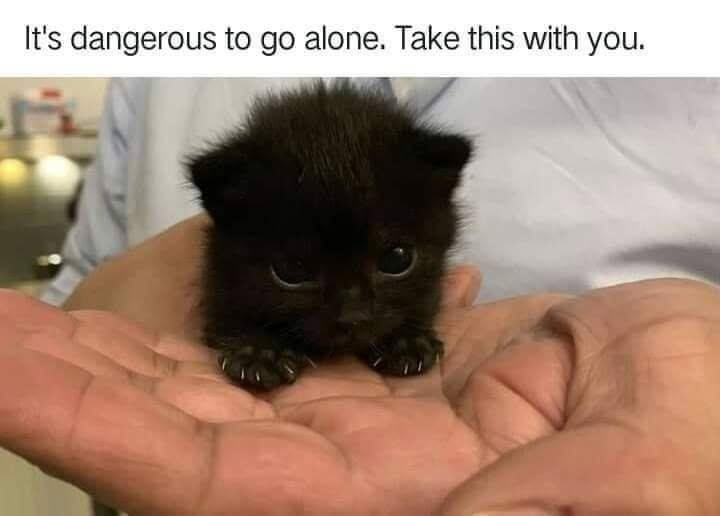 It's dangerous to go alone. Take this with you.