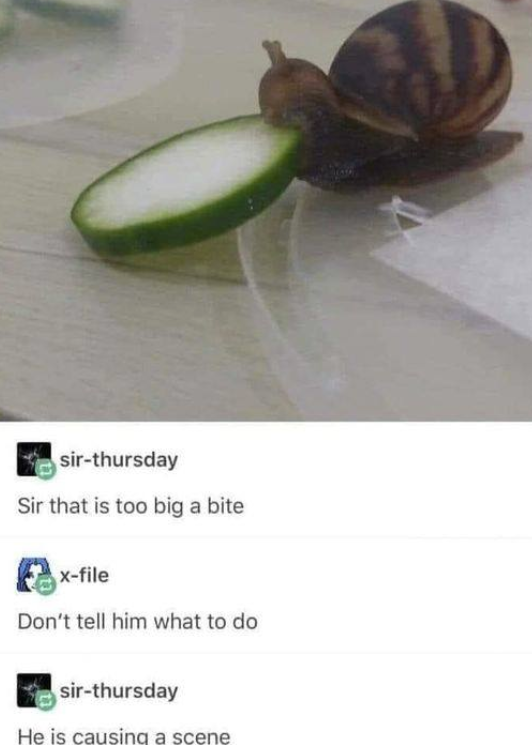 sir-thursday Sir that is too big a bite x-file Don't tell him what to do sir-thursday He is causing a scene
