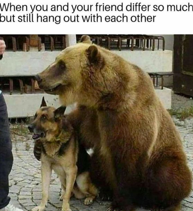 When you and your friend differ so much but still hang out with each other
