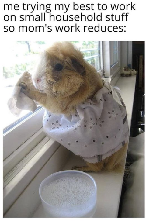 me trying my best to work on small household stuff so mom's work reduces:
