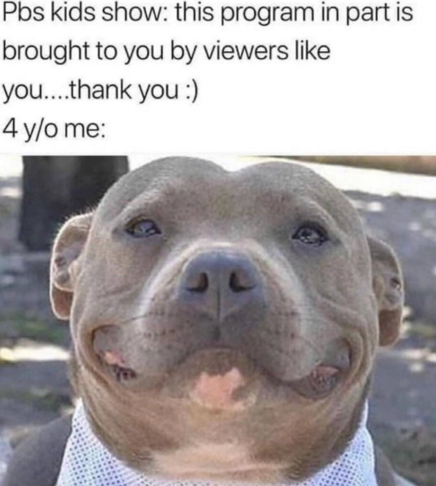 Pbs kids show: this program in part is brought to you by viewers like you....thank you :) 4 y/o me:
