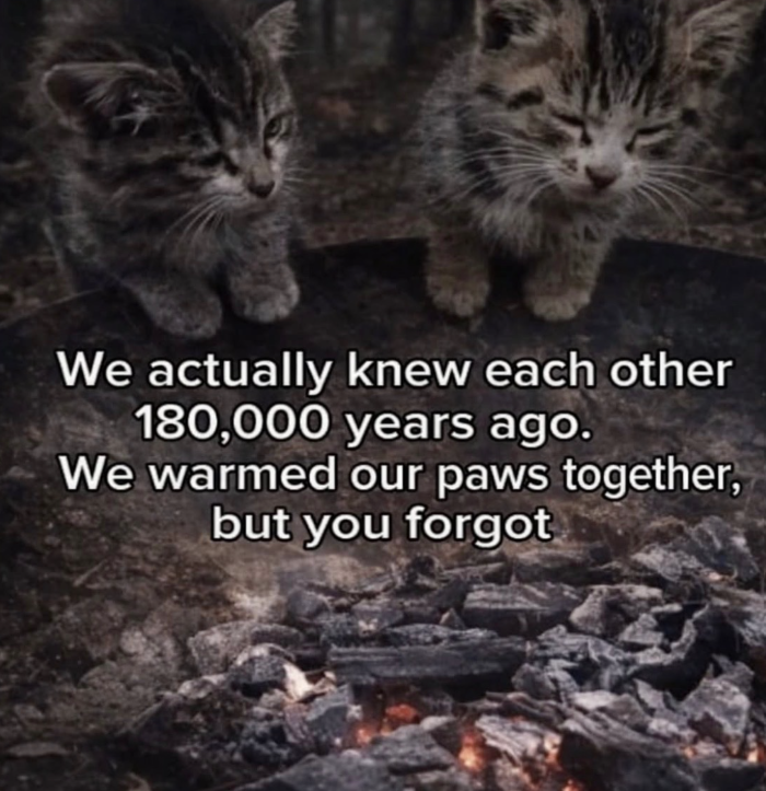 We actually knew each other 180,000 years ago. We warmed our paws together, but you forgot