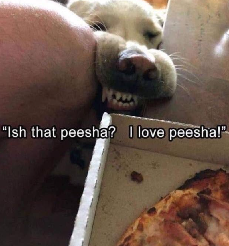 "Ish that peesha? I love peesha!"