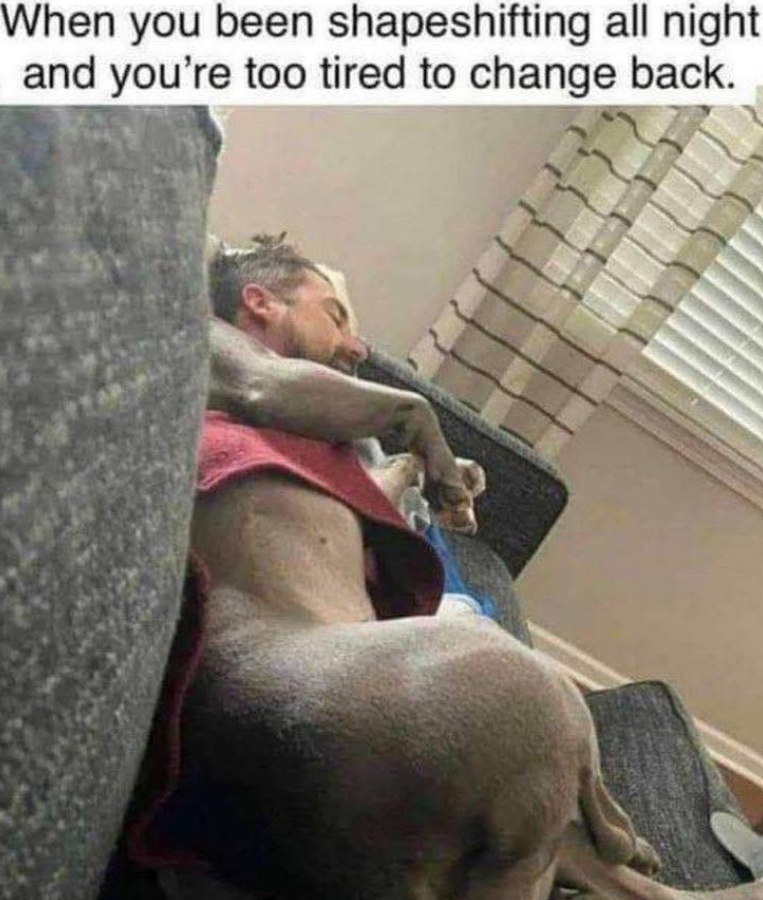 When you been shapeshifting all night and you're too tired to change back.