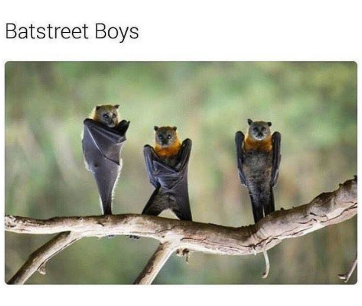 Batstreet Boys