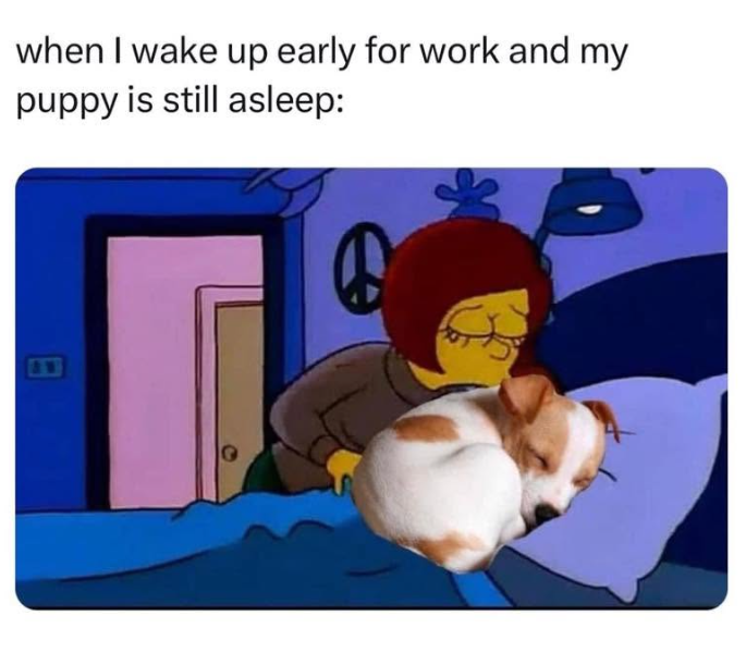 when I wake up early for work and my puppy is still asleep: e