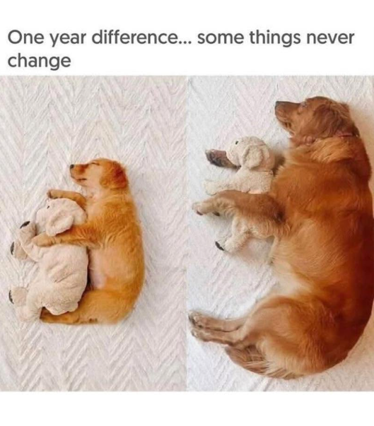 One year difference... some things never change