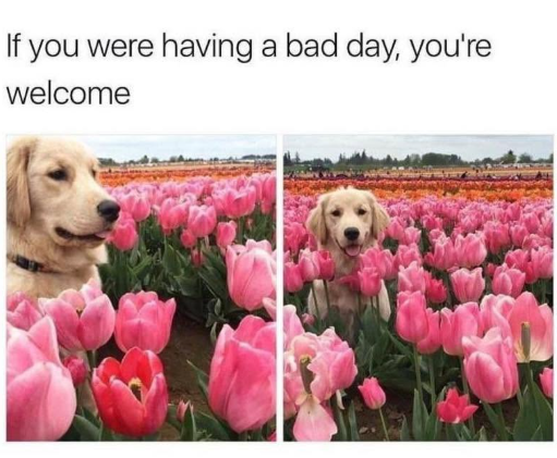 If you were having a bad day, you're welcome