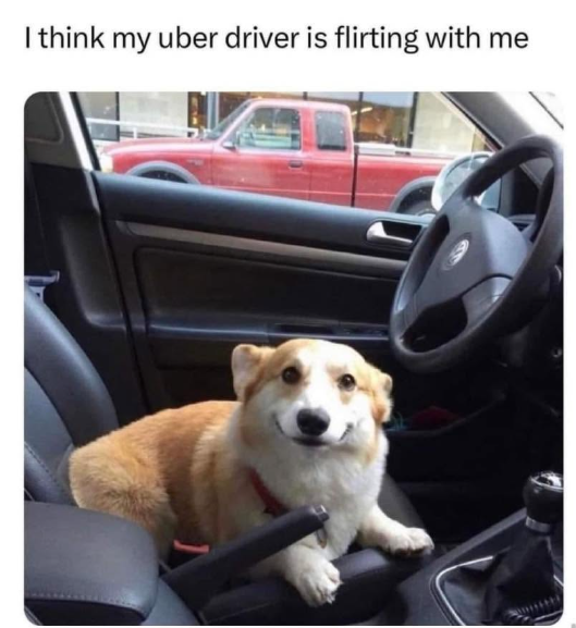 I think my uber driver is flirting with me P